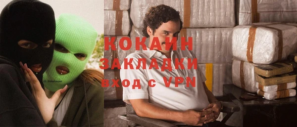 шишки Алзамай