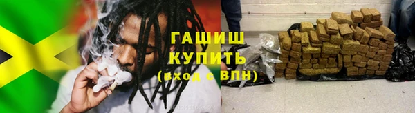 шишки Алзамай