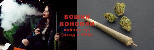 шишки Алзамай