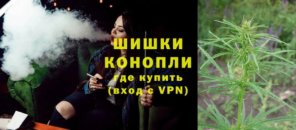 шишки Алзамай