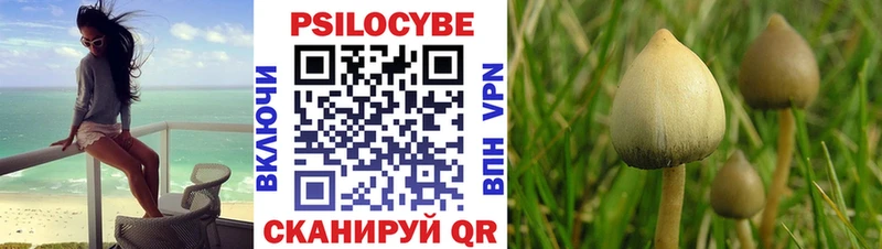 наркошоп  Кудрово  Галлюциногенные грибы мицелий 