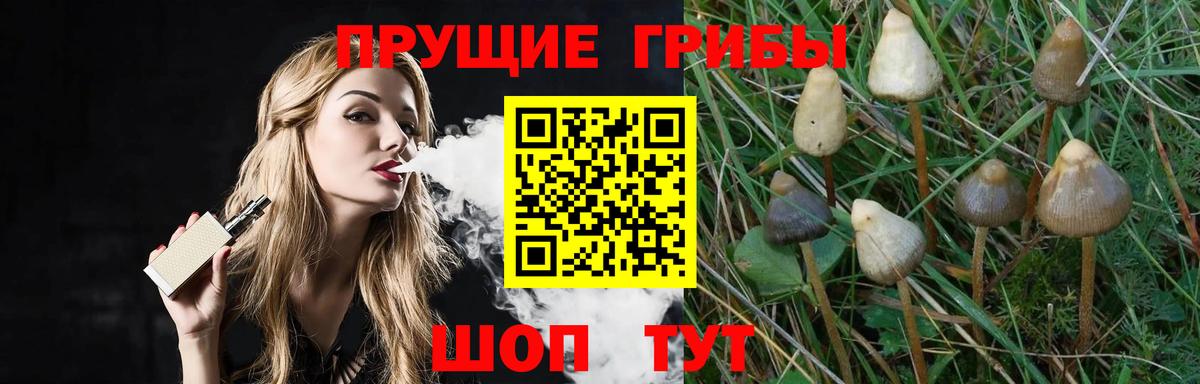 Галлюциногенные грибы MAGIC MUSHROOMS Кудрово