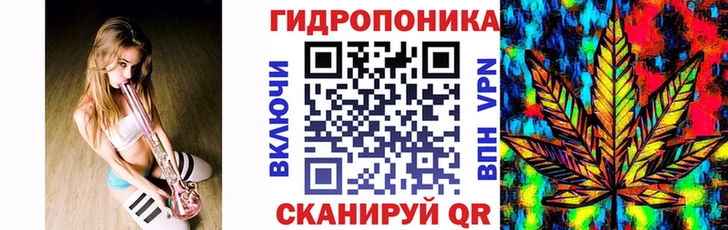 Конопля план  OMG зеркало  Кудрово 